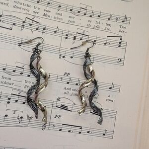 Twisted Silver and Black Earrings